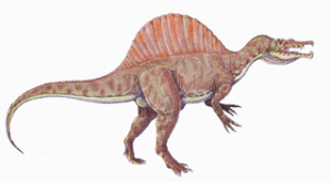 320px-Spinosaurus1DBa