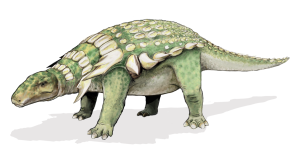 Edmontonia - a Nodosaur